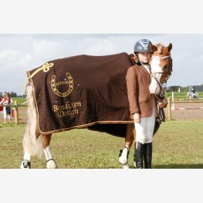 SW Crystal star sprinkle on blanket, SW Crystal  on helmet, competition jacket, boot shaft & noseband on bridle